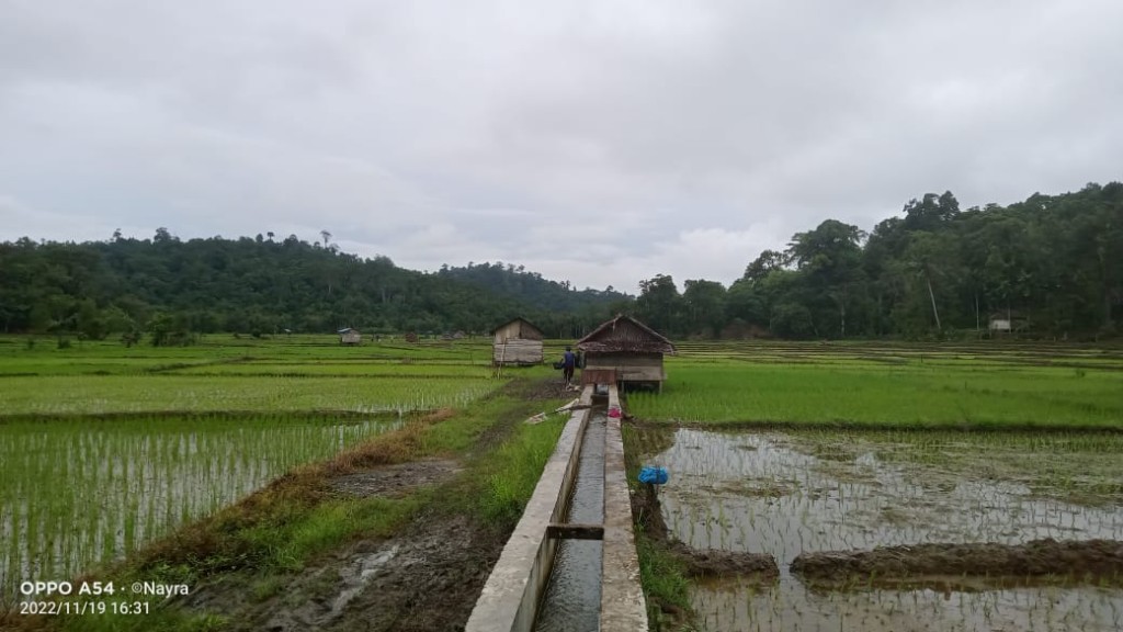 Sektor Pertanian merupakan mata pencaharian pokok masyarakat Desa Maudil.